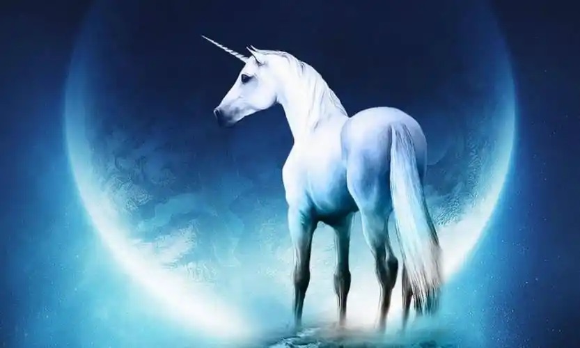 入选培育独角兽,乐玩LEWIN启新篇